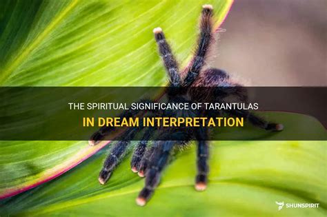 The Healing Powers of Emerald Tarantulas in Witchcraft